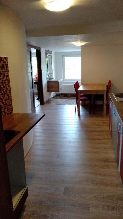 Apartmany Kukacci Hnizdo Benesov nad Ploucnici ภายนอก รูปภาพ